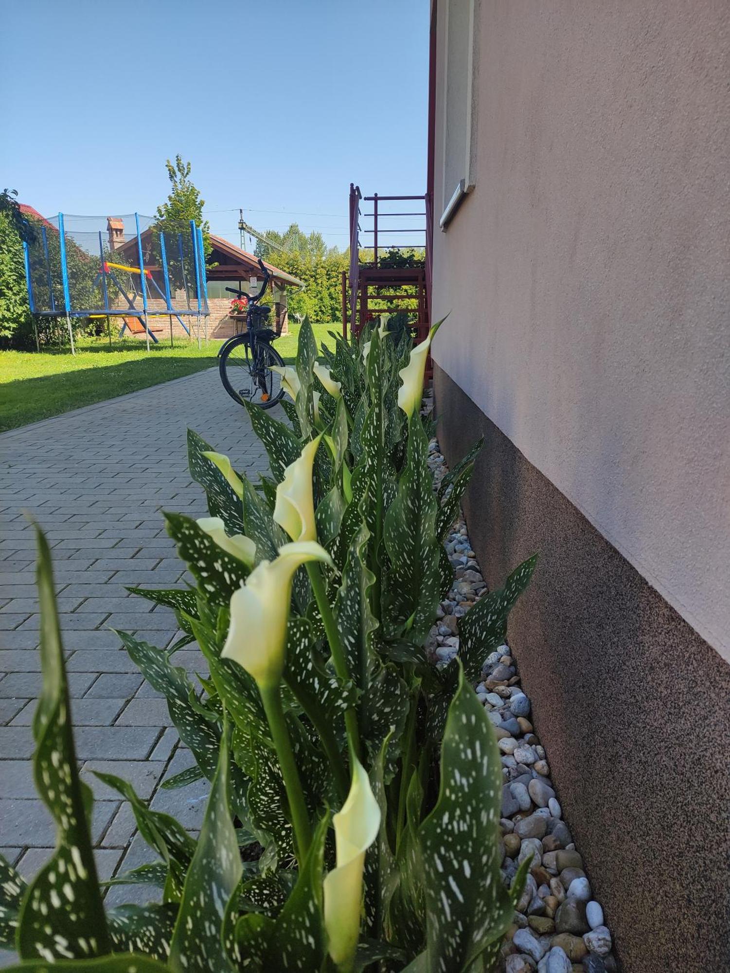 Orgona Vendégház Murakeresztur Kültér fotó